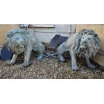 Bronze Lions Pair